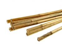 bambus tyč 150 cm