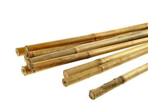 bambus tyč 180 cm